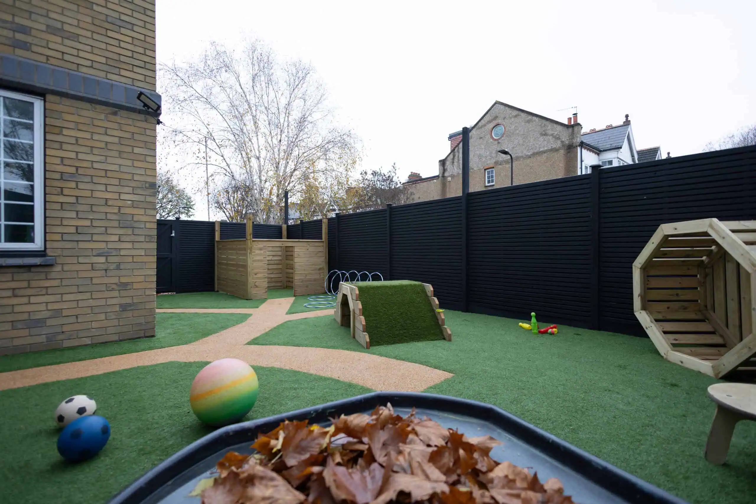 Monkey Puzzle Ealing-77