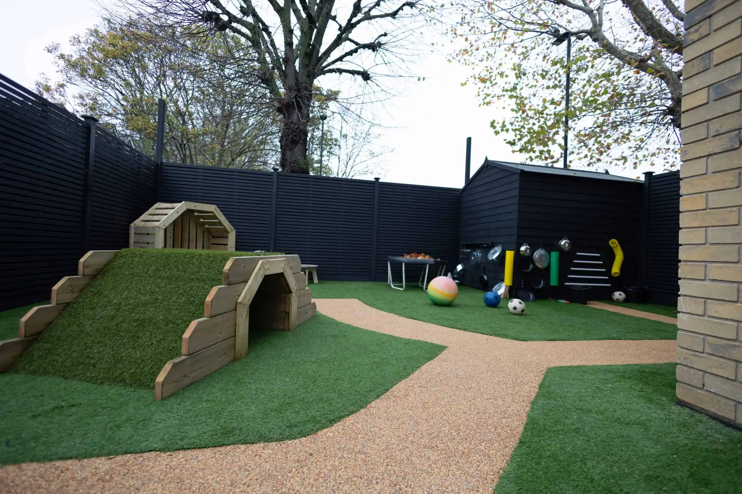 Monkey Puzzle Ealing-78